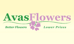 Avas Flowers